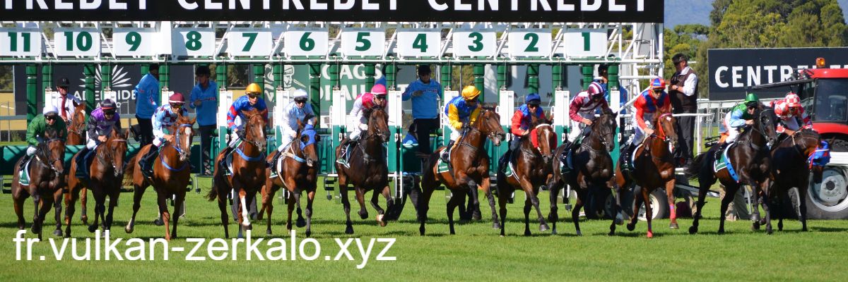 fr.vulkan-zerkalo.xyz